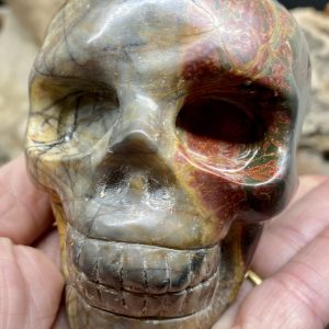 XL Cherry Creek Jasper Skull